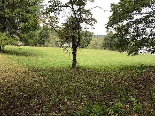 Andersonville, TN 37705,0 Indian Gap Rd Lot 3