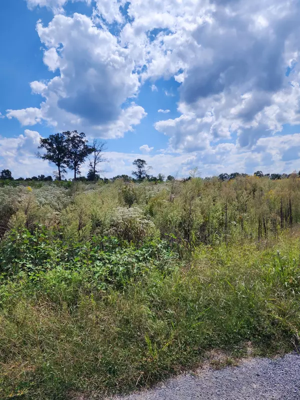 Woodbury, TN 37190,0 Goodridge Rd