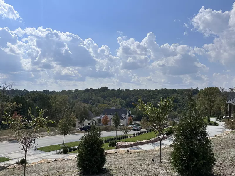 8101 Heirloom Blvd, College Grove, TN 37046