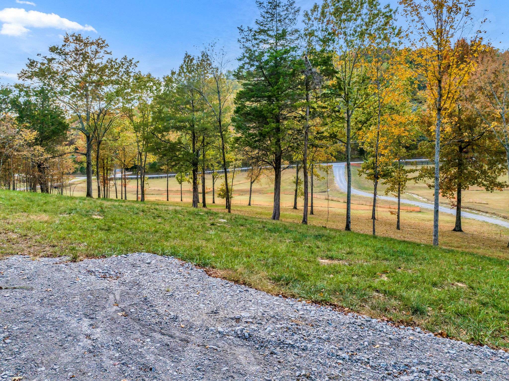 Nolensville, TN 37135,0 Burke Hollow Rd Tract #3
