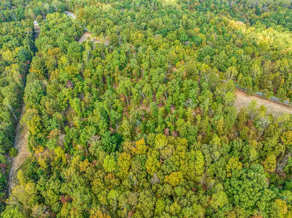 Lyles, TN 37098,0 Primm Springs Road Tract #1
