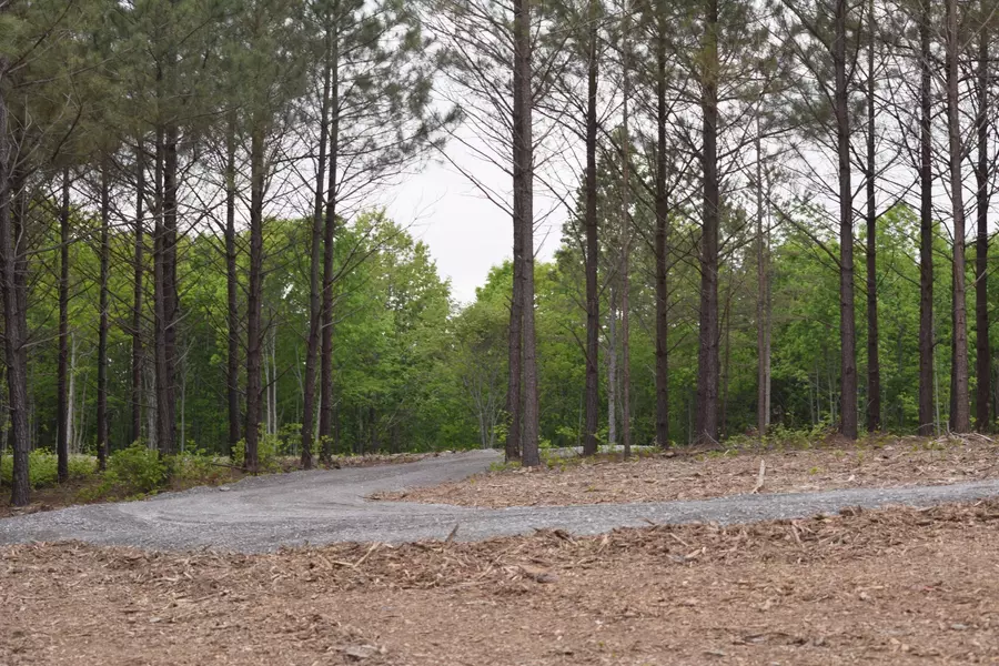 19 Chestnut Drive, Linden, TN 37096