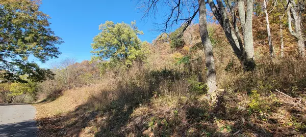 Bell Buckle, TN 37020,2335 Liberty Gap Rd