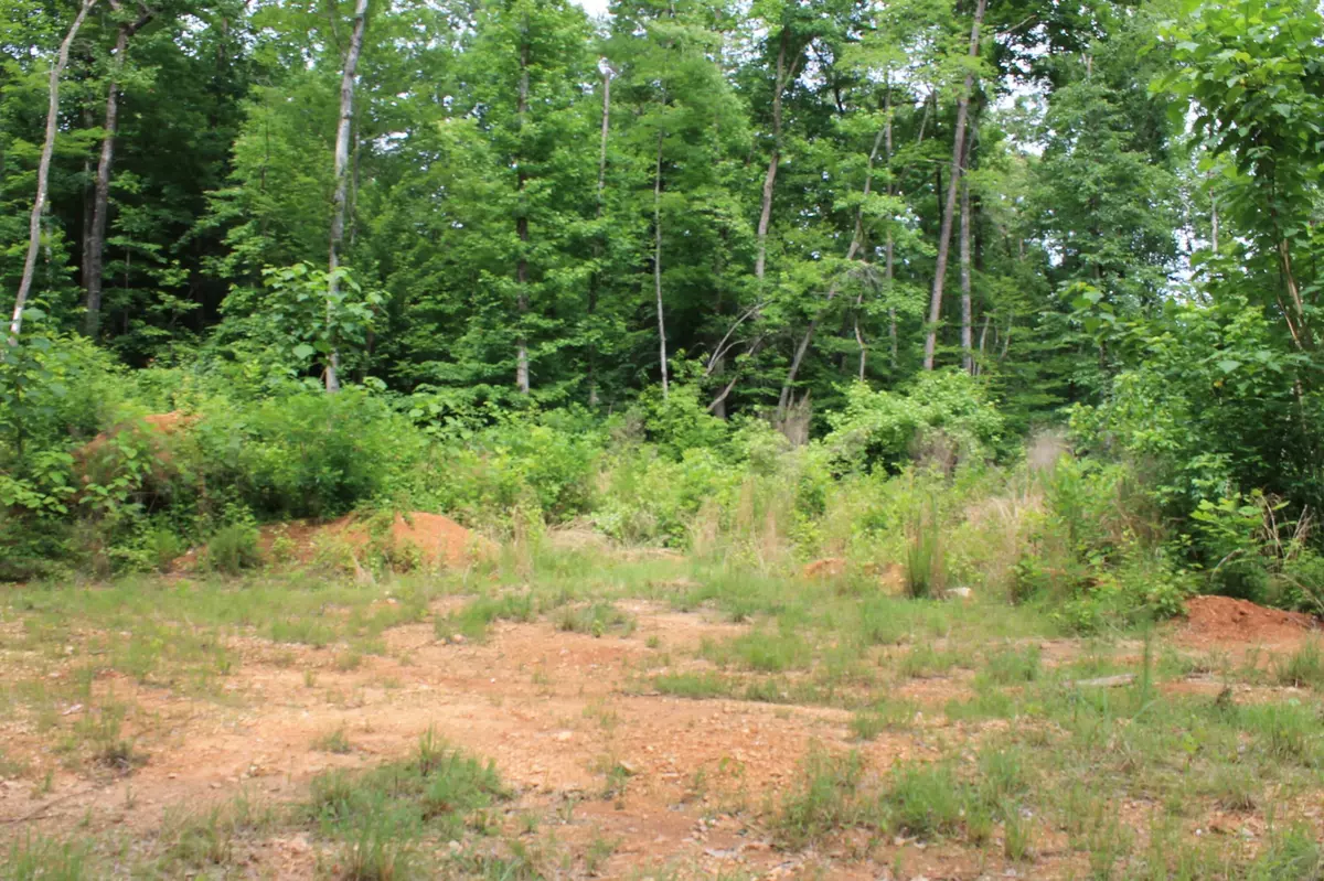 Whitwell, TN 37397,0 Hollow Road