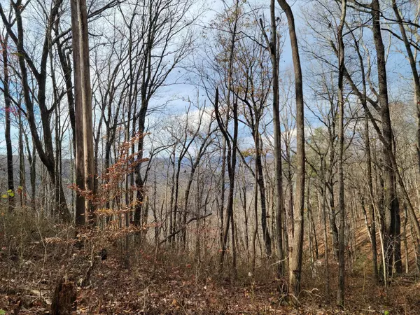 South Pittsburg, TN 37380,0 S Pittsburg Mountain Road