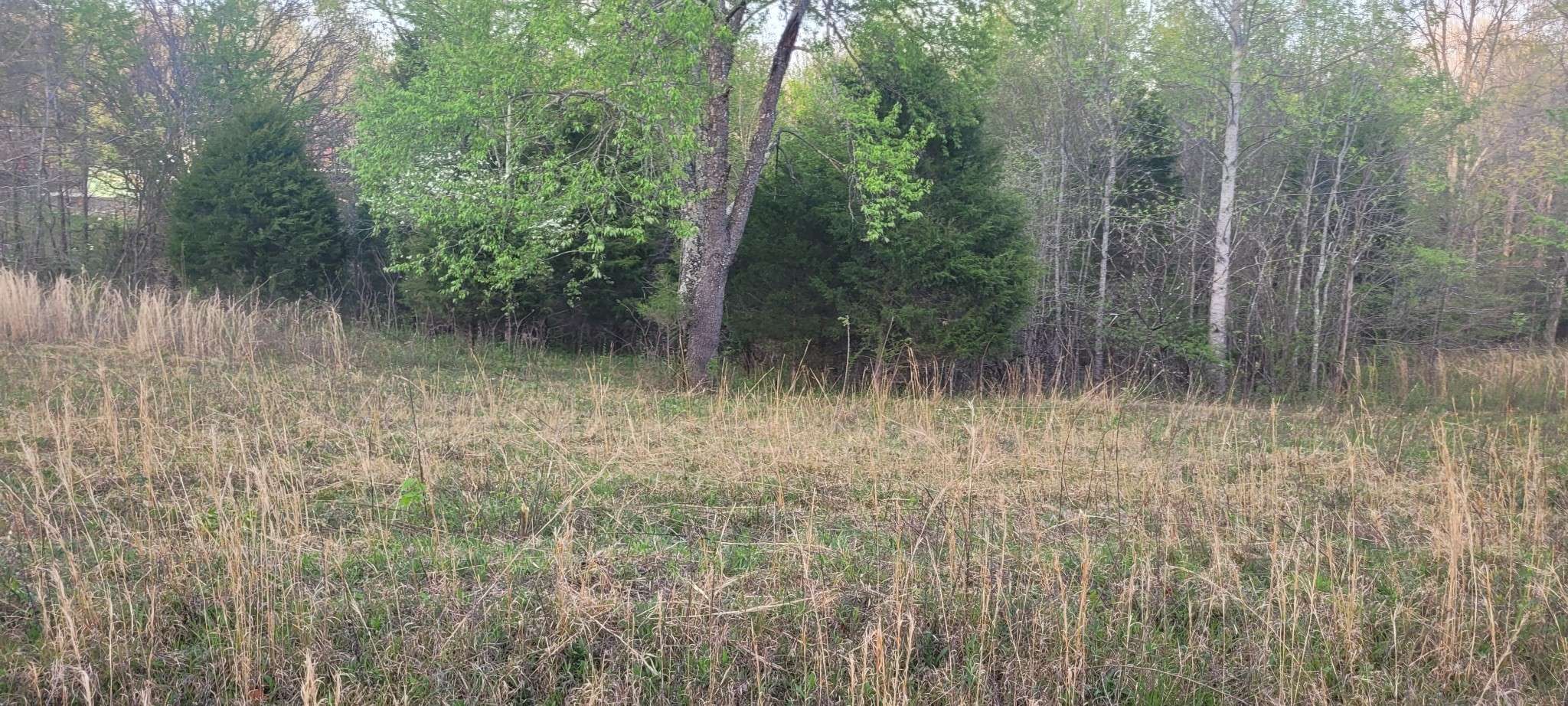 Bon Aqua, TN 37025,0 Piper Road