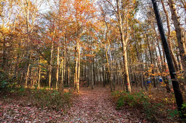Signal Mountain, TN 37377,2272 Little Bend Road