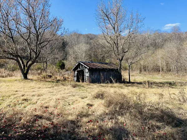 Chestnut Mound, TN 38552,197 Granville Hwy