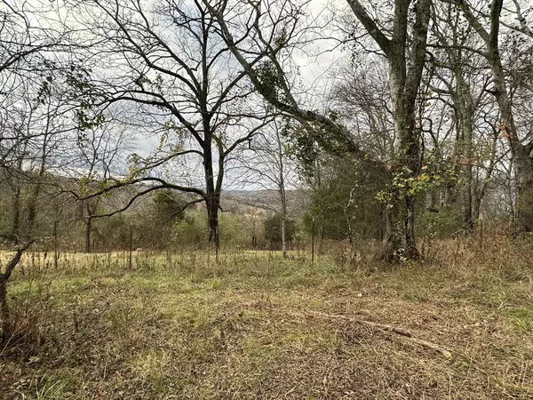 0 Minor Hill Rd, Pulaski, TN 38478