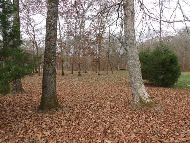 108 Riverview Dr, Hohenwald, TN 38462