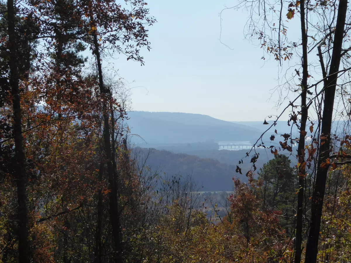 South Pittsburg, TN 37380,0 Laurel Avenue