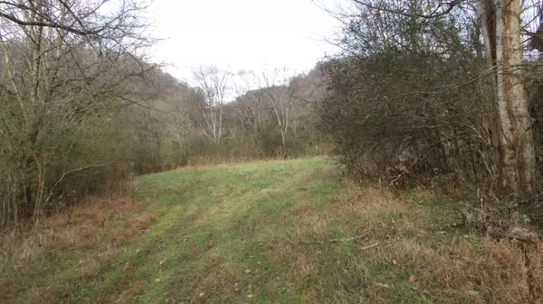 Gainesboro, TN 38562,89 ac Baugh Hollow Rd