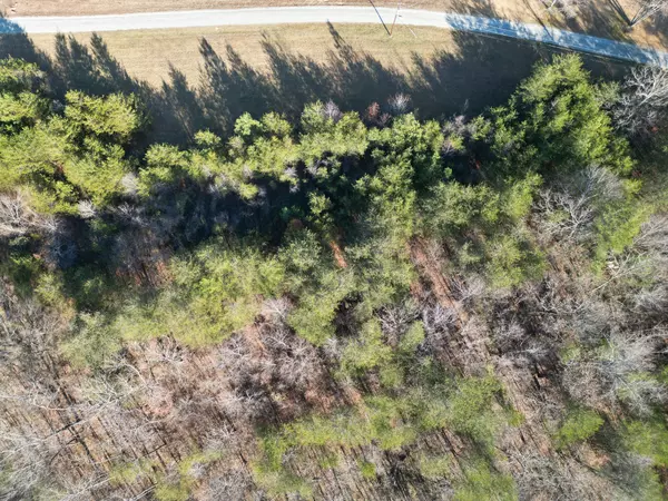 Hohenwald, TN 38462,0 Lyell Rd