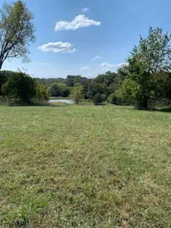 Castalian Springs, TN 37031,1132 Harsh Ln