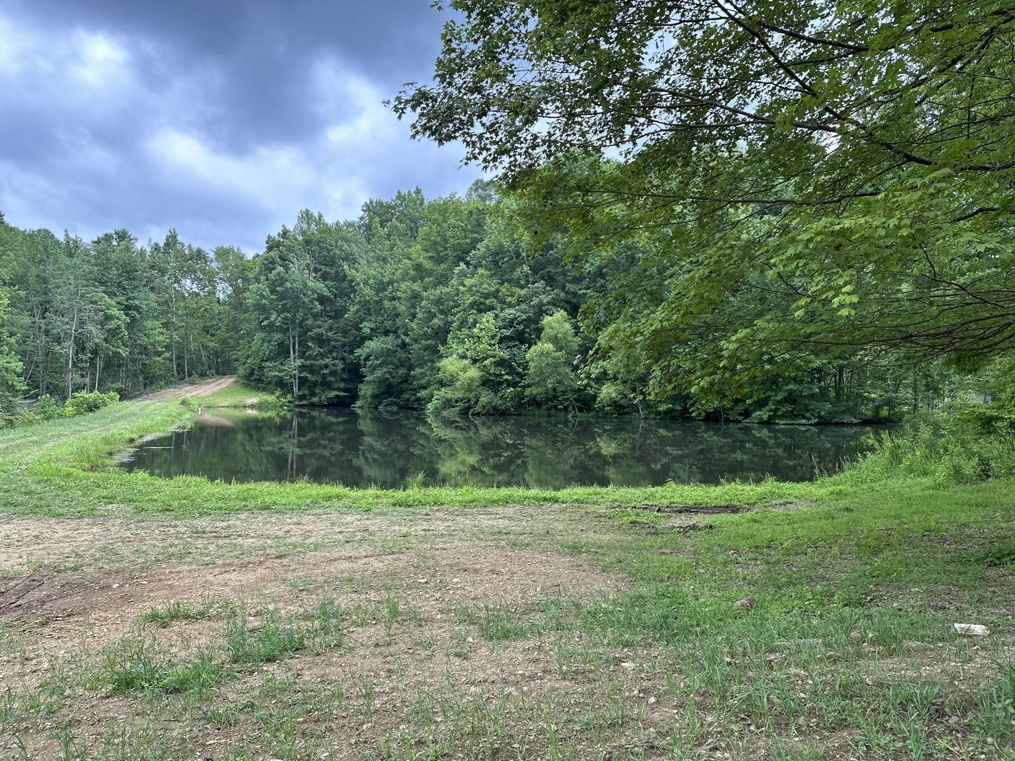 240 Rose Lane, Pulaski, TN 38478