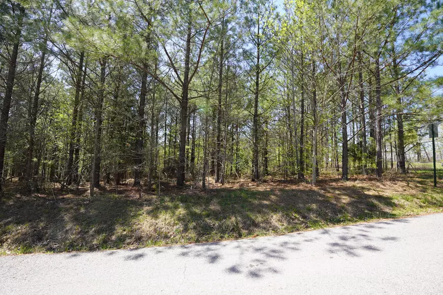 4 Onion Hill Road, Dover, TN 37058