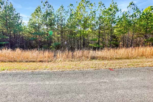 Dover, TN 37058,9 Ribbon Branch Road