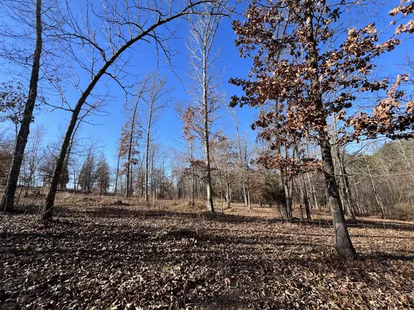 Nunnelly, TN 37137,0 Green Acre Lane