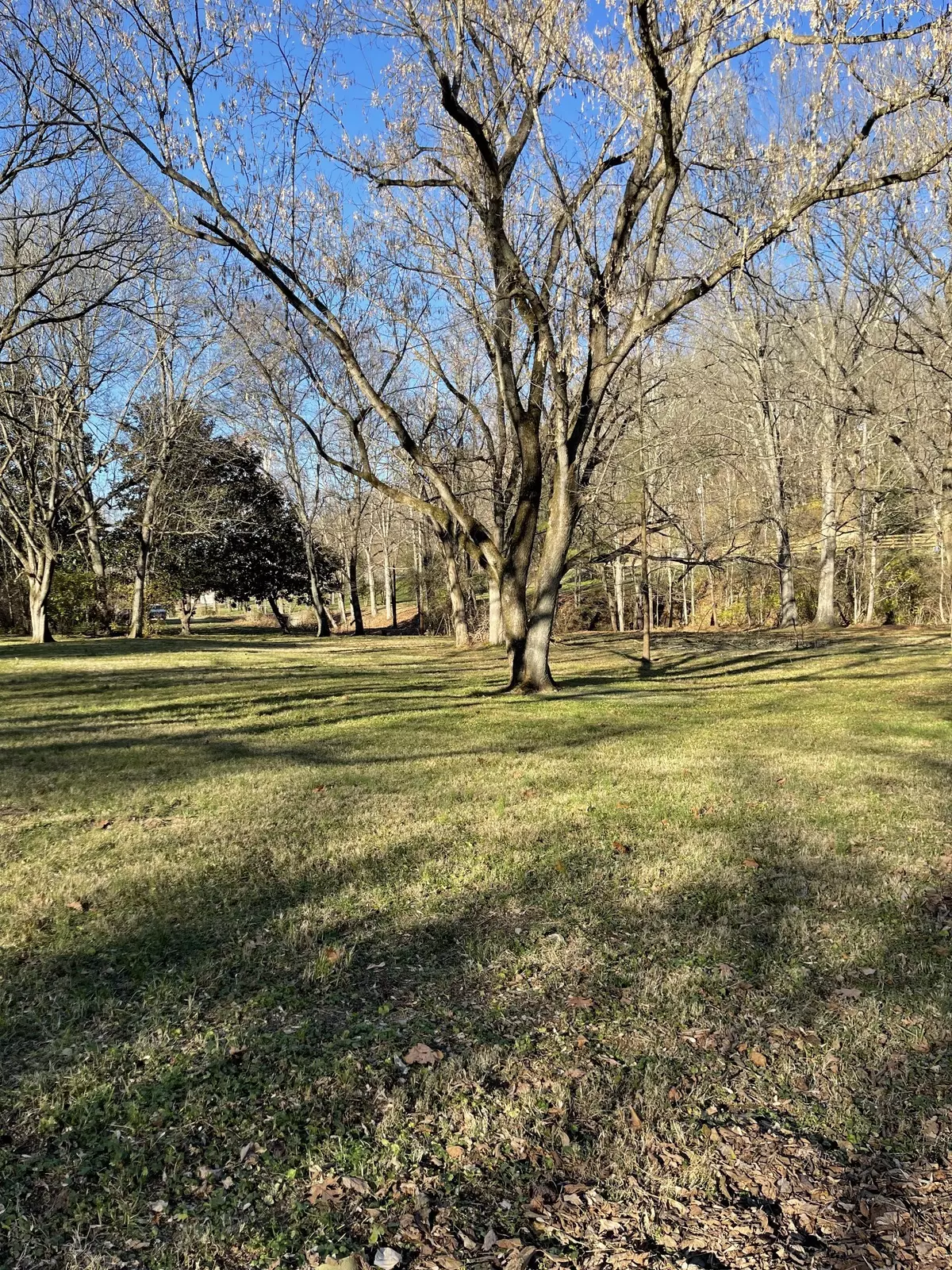 Brentwood, TN 37027,0 Holly Tree Gap