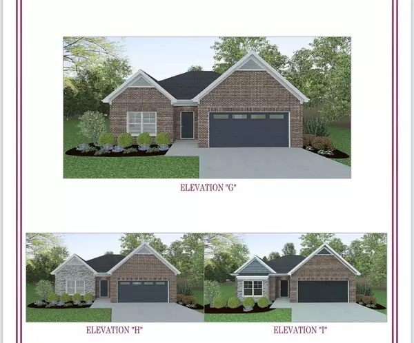 Spring Hill, TN 37174,729 Rex Drive Lot 316