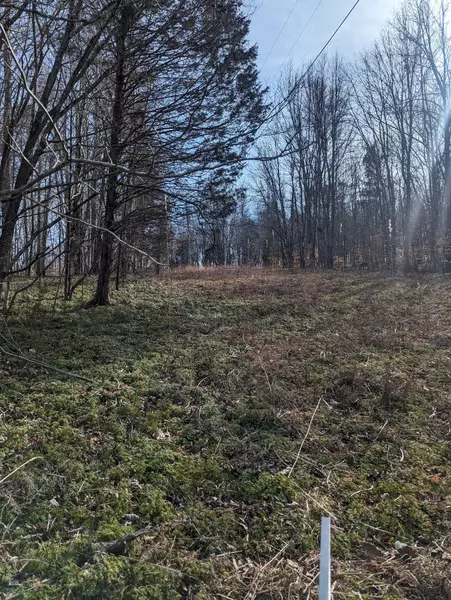 0 Clyde Wix Rd, Westmoreland, TN 37186