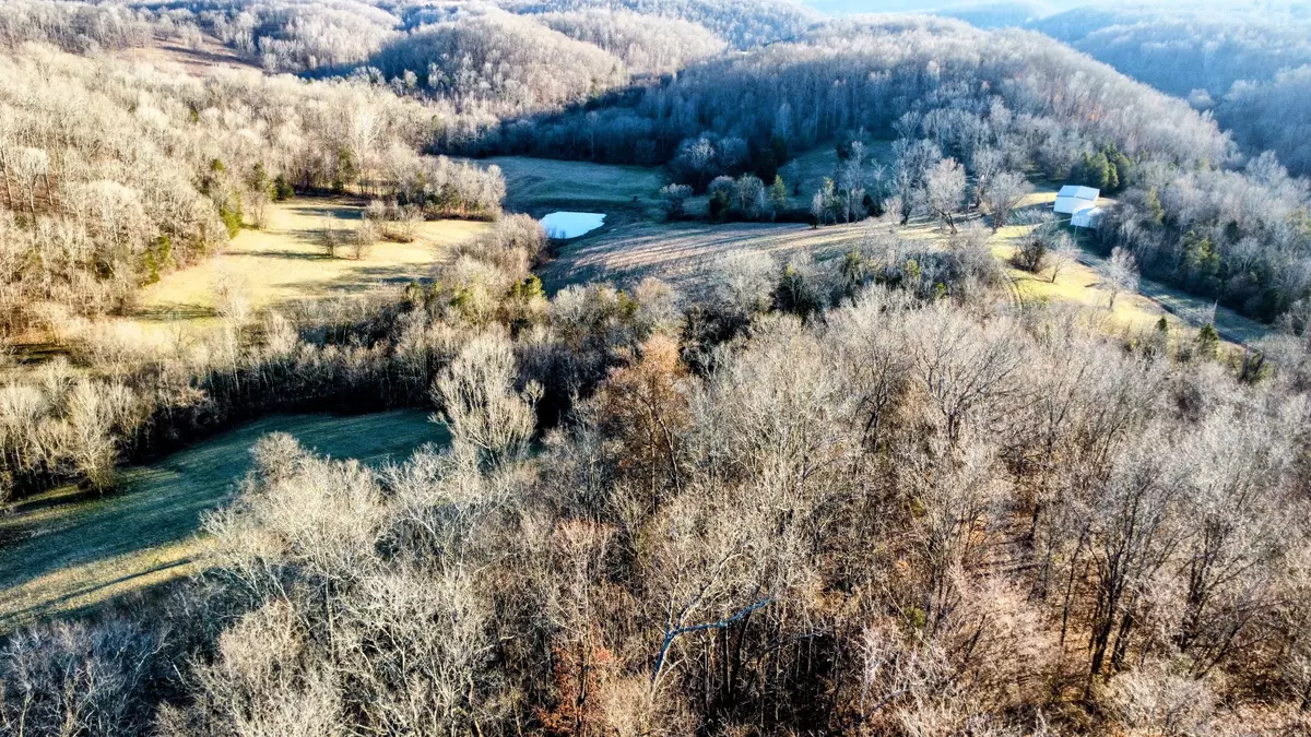 Lynnville, TN 38472,1820 Petty Hollow Rd #N