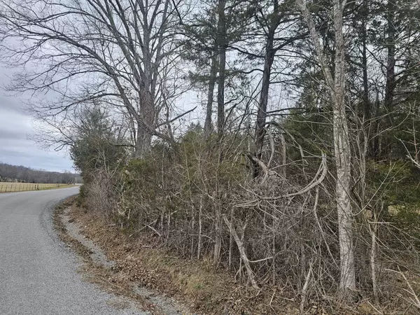 Hampshire, TN 38461,1 Love Branch Rd Tract 1