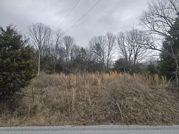 Hampshire, TN 38461,1 Love Branch Rd Tract 1