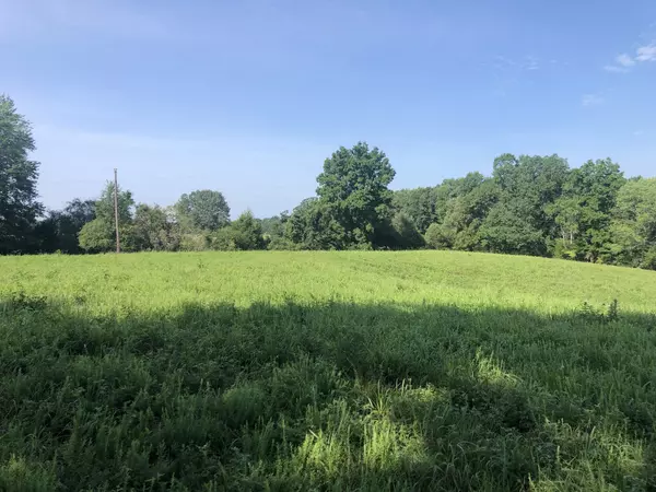 Vanleer, TN 37181,0 Murphy Hollow Road Tract 4