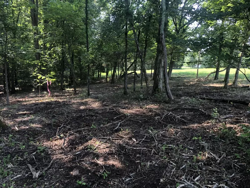 0 Murphy Hollow Road Tract 4, Vanleer, TN 37181