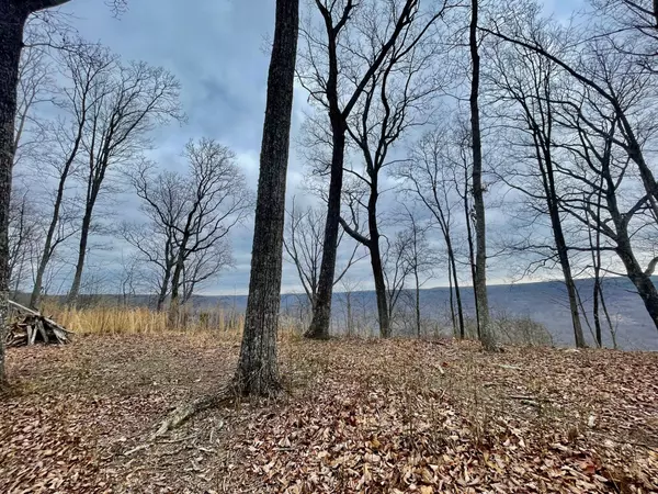 Monteagle, TN 37356,0 Eagle Rock Rd