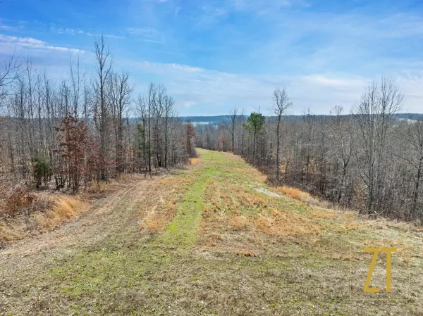 0 Green Shanty, Tennessee Ridge, TN 37178