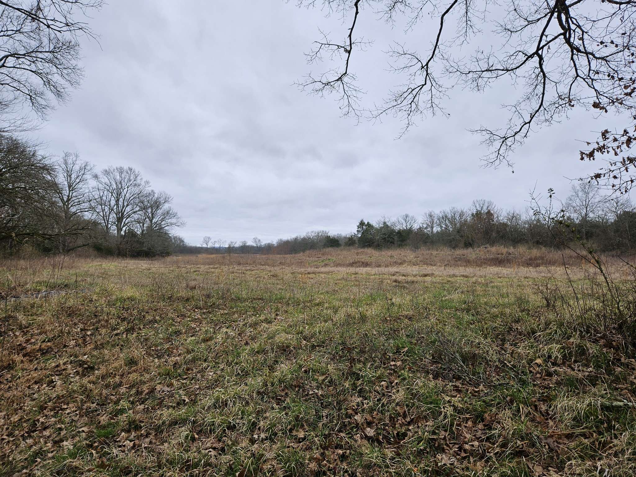 Christiana, TN 37037,0 Don Bruce Court