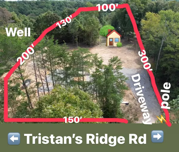 Hampshire, TN 38461,189 Tristans Ridge