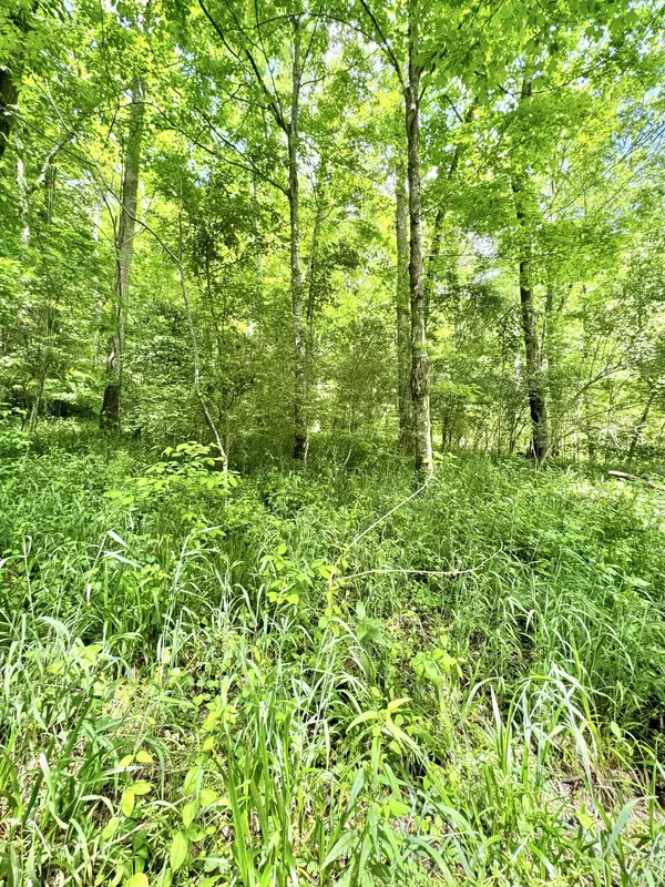 Smithville, TN 37166,0 Shoreside Dr Lot 100