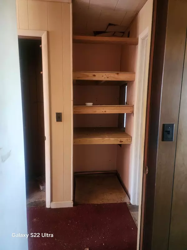 Cottage Grove, TN 38224,214 Burns Rd