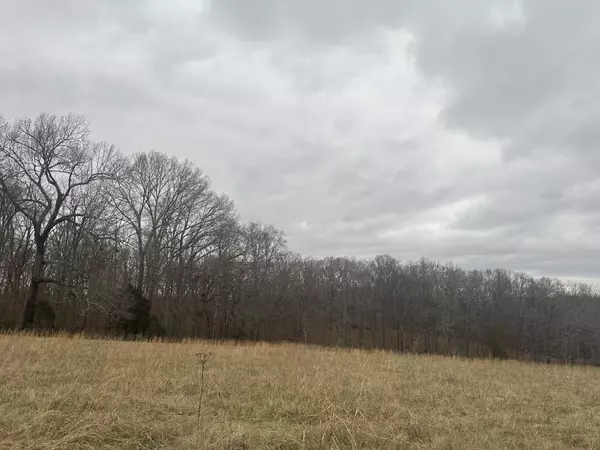 Burns, TN 37029,2 Myatt Loop