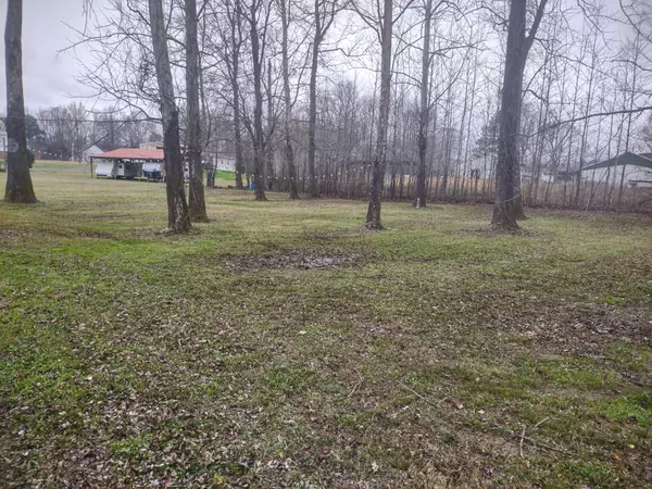 Decaturville, TN 38329,59 Lakeside Ln