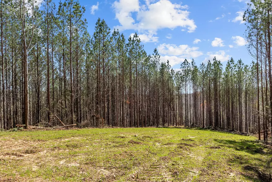 0 Cotton Branch Rd, Linden, TN 37096