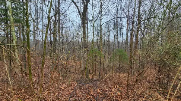 Joelton, TN 37080,1120 Jacobs Ct