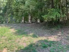 Charlotte, TN 37036,0 Shelter Branch Road