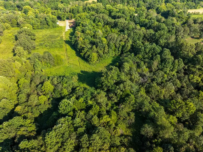 0 Shelter Branch Road, Charlotte, TN 37036