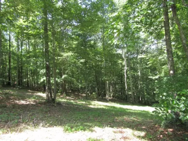 0 Western Way, Hilham, TN 38568