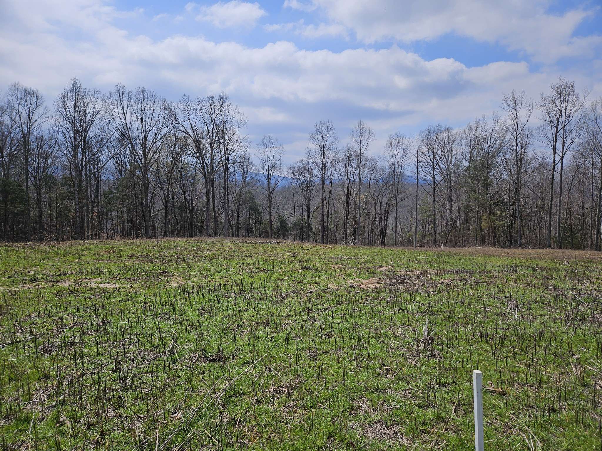 Sparta, TN 38583,230 Ben Rd N