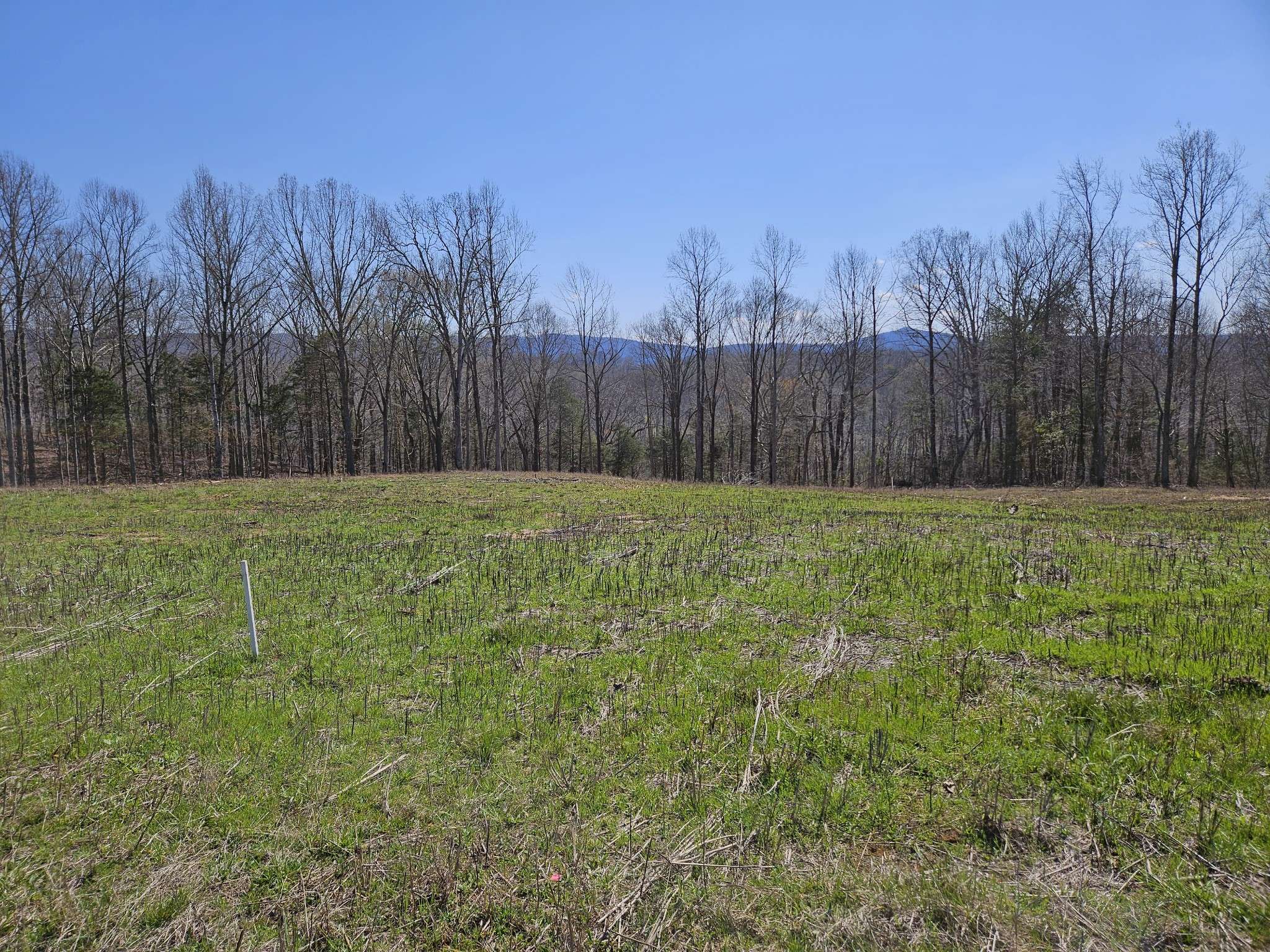 Sparta, TN 38583,230 Ben Rd N
