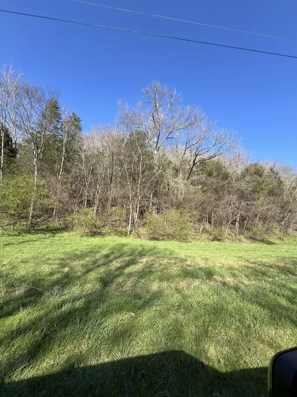 0 Spring Valley Road, Taft, TN 38488