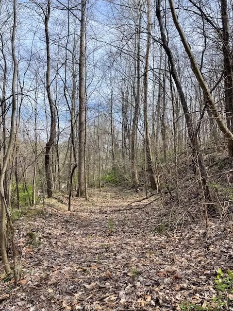 Nashville, TN 37209,8552 Cub Creek Rd