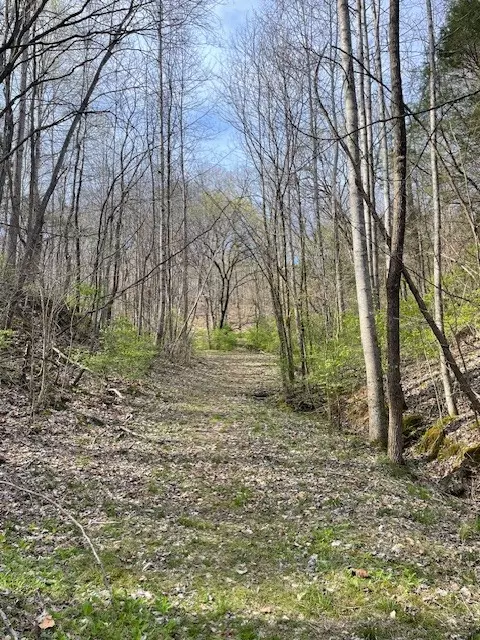 Nashville, TN 37209,8552 Cub Creek Rd