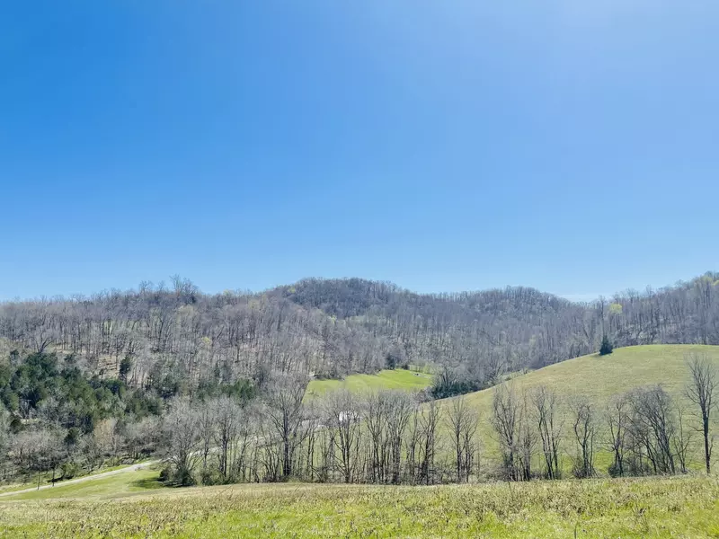 242 Whyte Tenpenny Rd, Woodbury, TN 37190