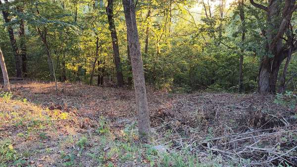 25 Harbor Pointe Lane, Silver Point, TN 38582